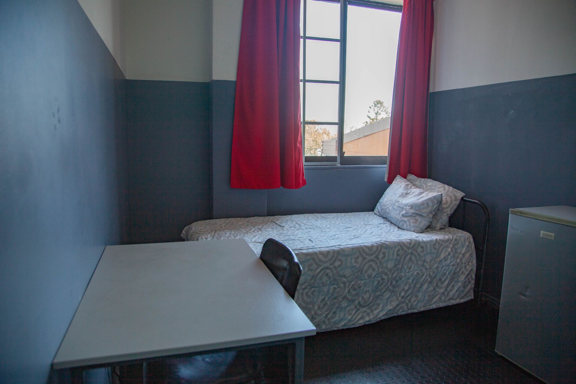 IMG_3105-resized1920px